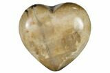 Polished, Triassic Petrified Wood Heart - Madagascar #115526-1